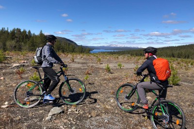 bike7.jpg