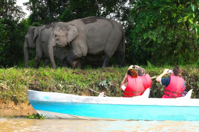 sabah-river.jpg