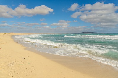 nature-5112624_1920.jpg