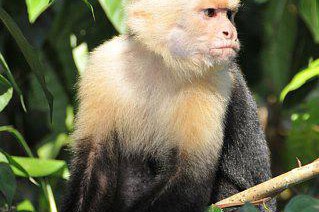 dsc_3170_319x480.jpg