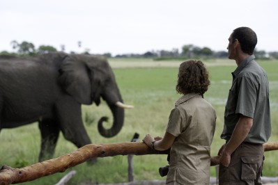 tubu-camp-wildlife.jpg