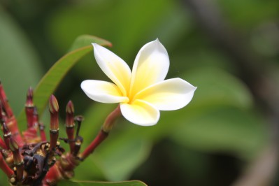 botanischer_garten_sueden-27.jpg
