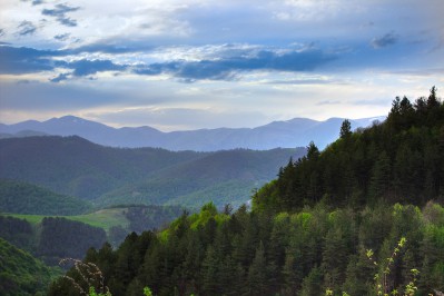 dilijan-national-park.jpg