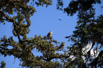 img_4965.jpg