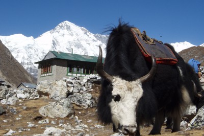nepal-2007-262.jpg
