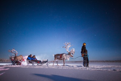 harriniva-hotels-safaris-reindeer-12.jpg