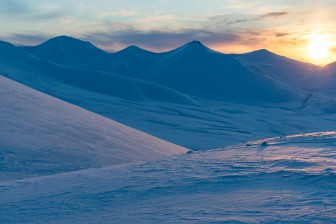 kopie-von-spitzbergen-reisen-first-sun-0481.jpg