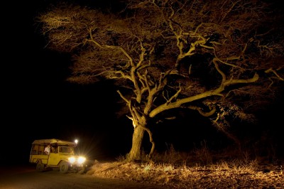 ssc-night-game-drive.jpg