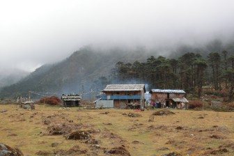 cimg0405.jpg