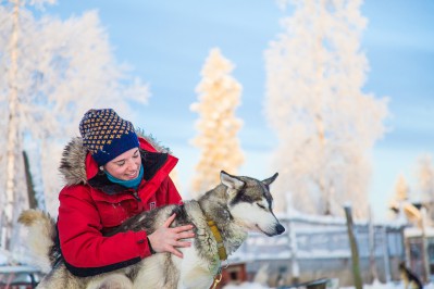 harriniva-hotels-safaris-huskies-52.jpg