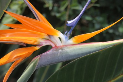 botanischer_garten_sueden-18.jpg