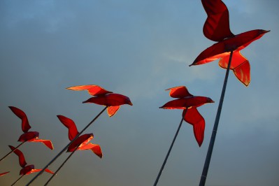 dpp_0065.jpg