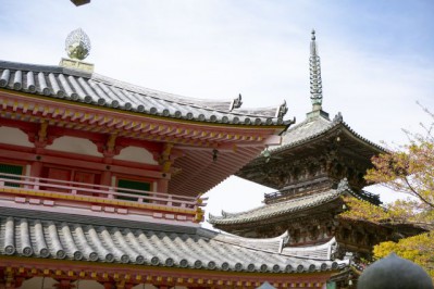 20200415_tsubosakadera_24_epvimo.jpg