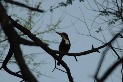 dsc_0414.jpg