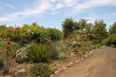 botanischer_garten_sueden-32.jpg