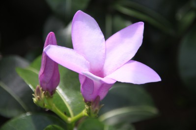 botanischer_garten_sueden-20.jpg