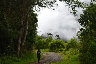 valle-de-cocora-frederik-7.jpg