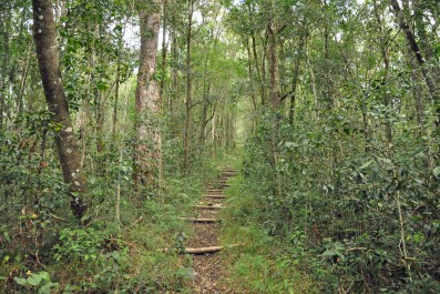 goldmines-hiking.jpg