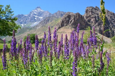 dsc_0410.jpg