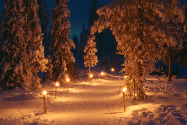 harriniva-hotels-safaris-winter-31.jpg