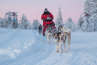 harriniva-hotels-safaris-huskies-68.jpg