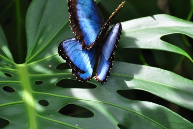 dsc_0107_1280x850.jpg