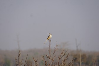 dsc01944.jpg