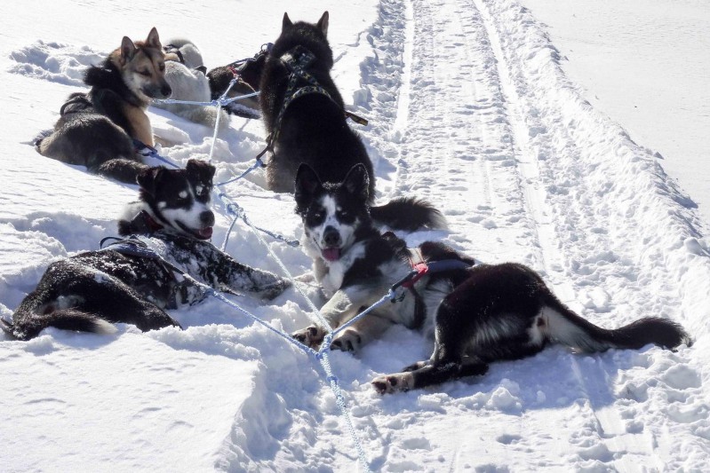 Finnland Panorama Tour über dem Polarkreis AT REISEN