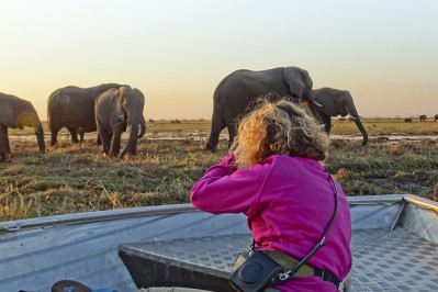 sunway-botswana-chobe-river-cruise-grace-kemp-1.jpg