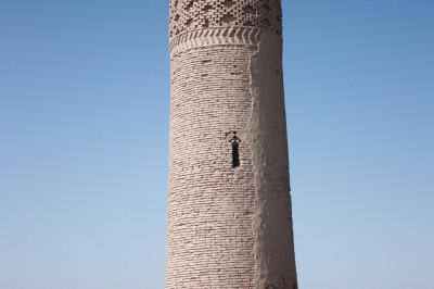 img_7884.jpg