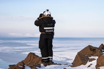 suche-nach-eisbaeren.jpg
