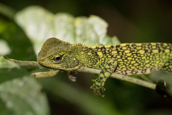 img_1505.jpg