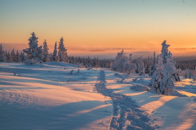harriniva-hotels-safaris-winter-4.jpg