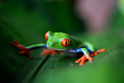 trevor-cole-393228-unsplash.jpg