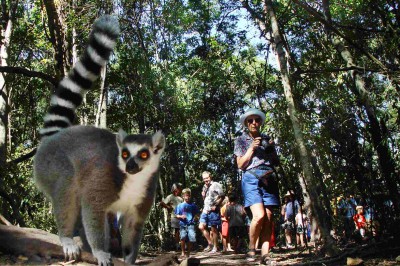 animal-encounter.jpg
