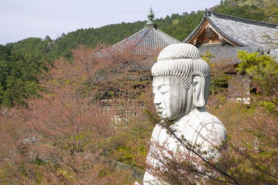 20200415_tsubosakadera_25_kdptec.jpg