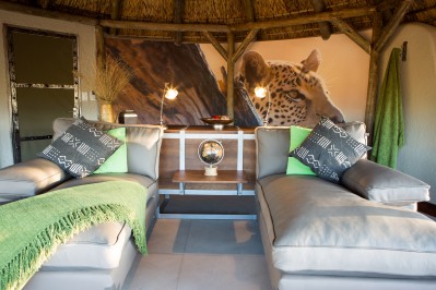 bush_camp_room_lounge_leopard.jpg