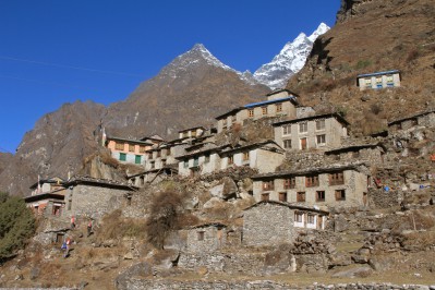 img_2393.jpg