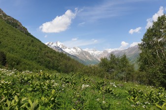 20190617_093014.jpg