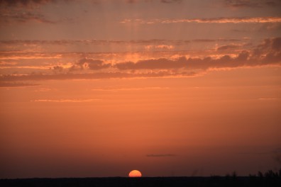 dsc_0770.jpg