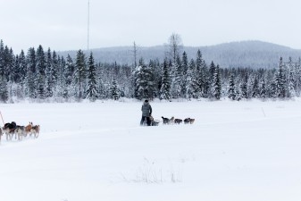 husky12_vuokattisafaris.jpg