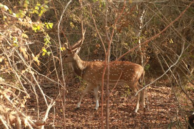 img_9735.jpg