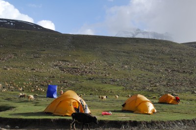 dsc_0287.jpg